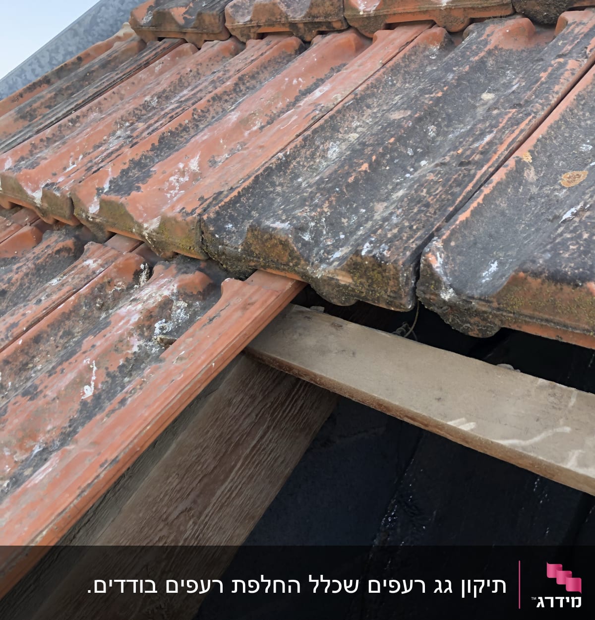 רעפים כתומים עם סימני שחיקה על גג עץ